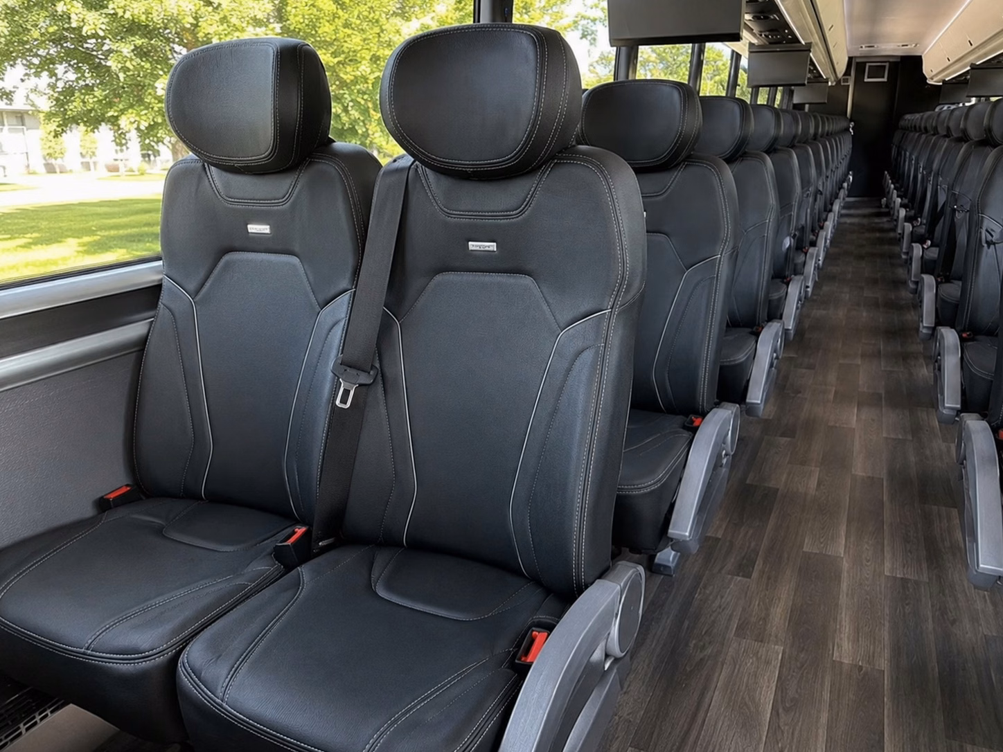 charter buses and party buses to tampa bay rays games at tropicana field