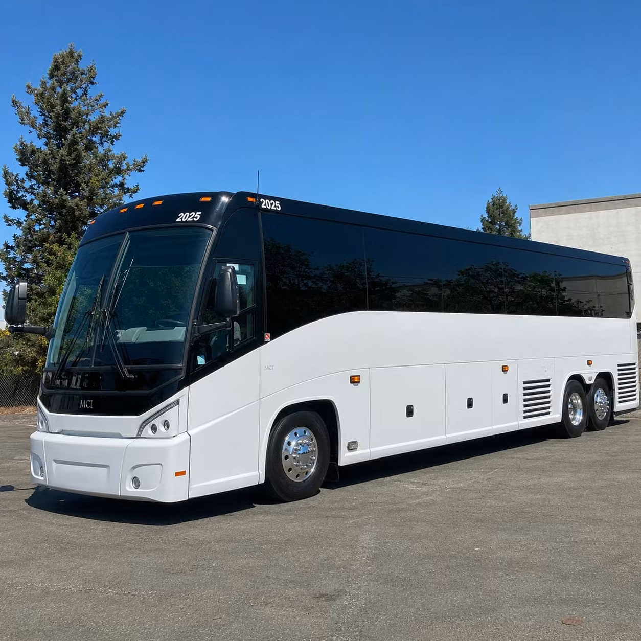 charterbusrentalstpetersburgfl com is here to make st petersburg group travel across florida genuinely simple