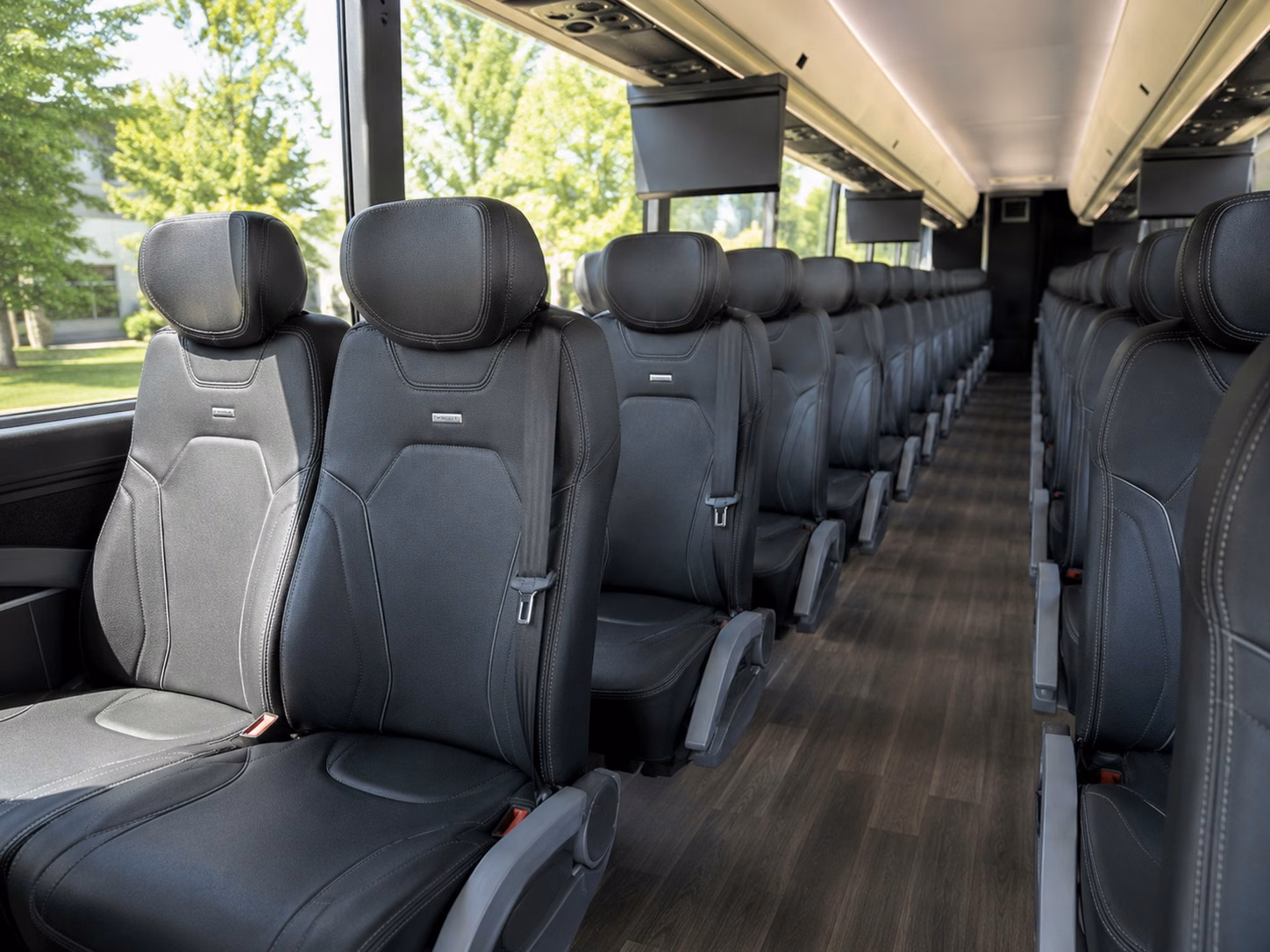 college sports transportation to usf eckerd college and beyond
