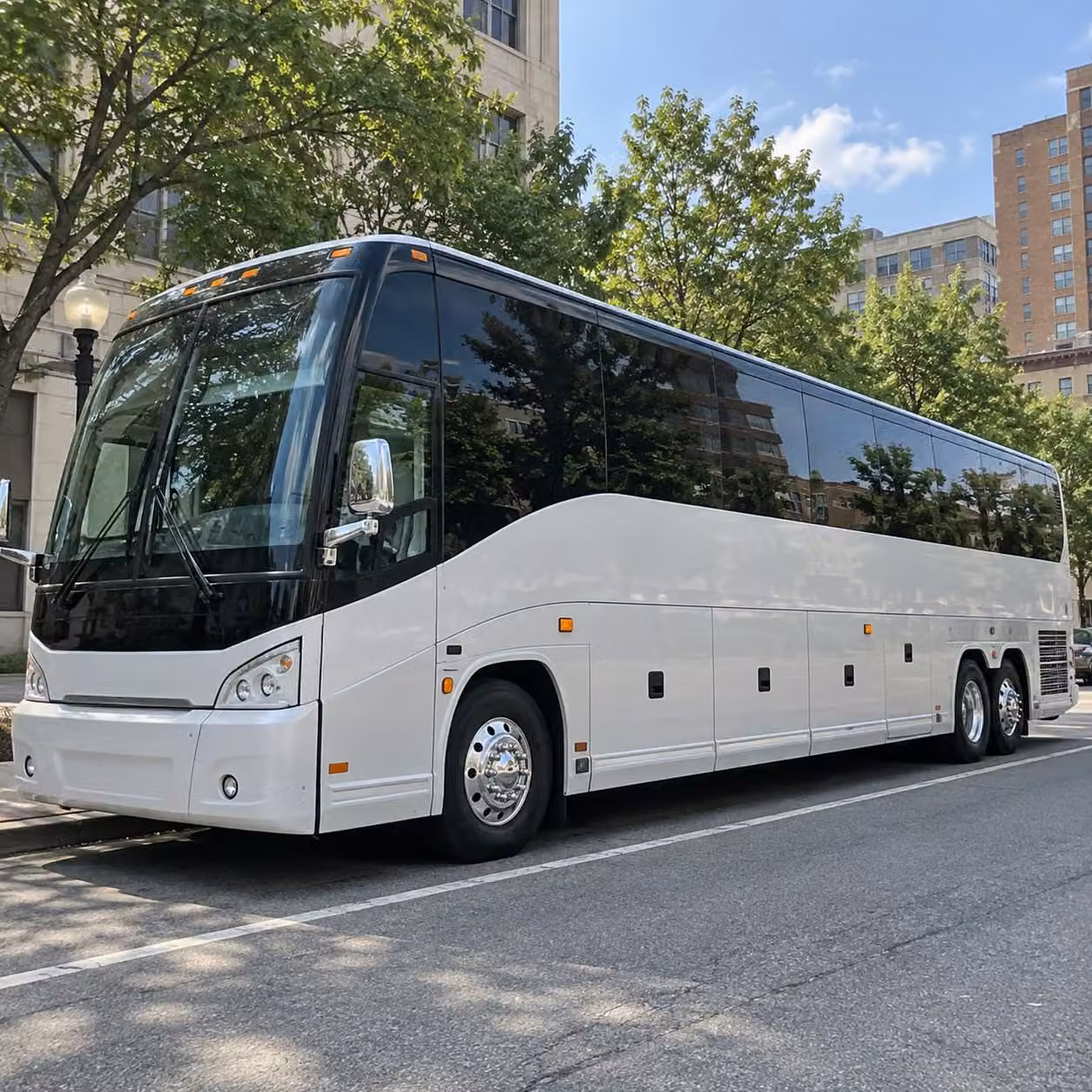 every grade level gets the right bus when you book through charterbusrentalstpetersburgfl com
