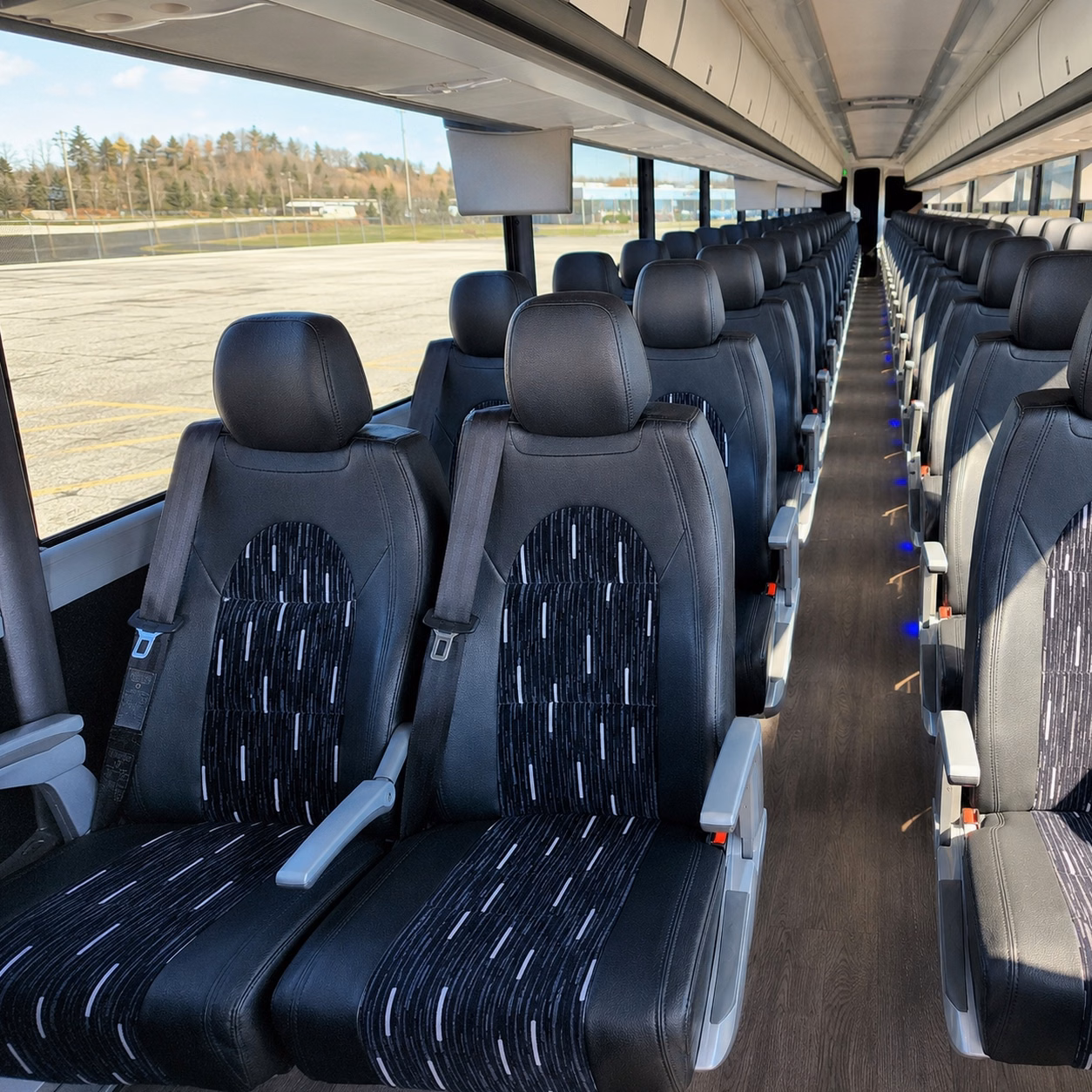 how the day of the week changes what a bus costs in st petersburg florida