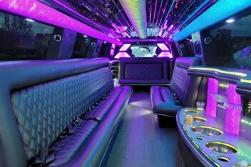 St. Petersburg Limo Interior